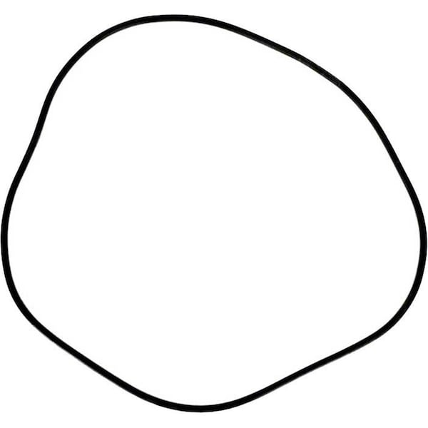 Whole-In-One Doughboy O-Ring Kit WH2772909 - main